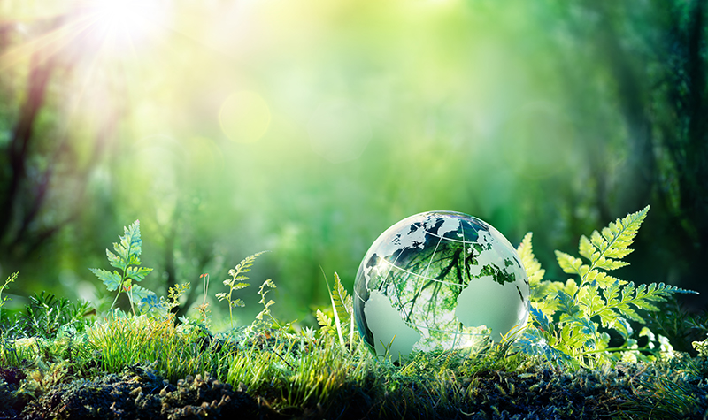 green globe sitting on top of grass to represent sustainability